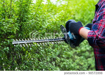 Gardener holding electric hedge trimmer to cut the treetop in garden. 98572898