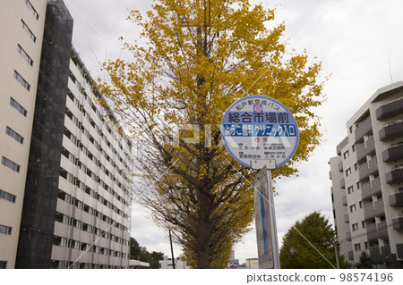 松戶市Wanagaya周邊風光 松戶市Wanagaya周邊風光 98574196