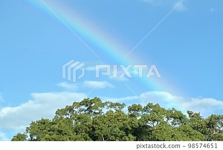 彩虹腳下 98574651