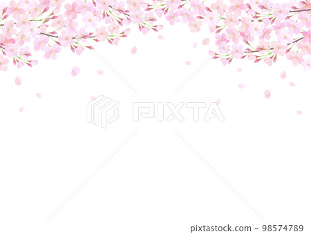 白色背景下水彩櫻花的向量插圖 98574789