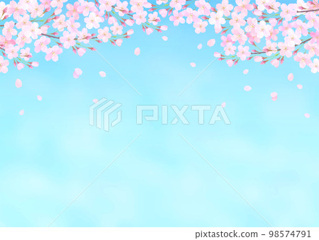 Vector illustration background with blue sky and cherry blossoms watercolor touch 98574791