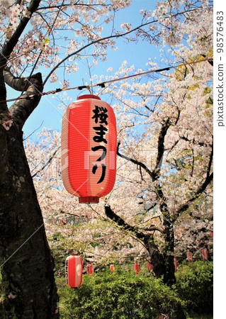 Wakayama castle and cherry blossoms 98576483