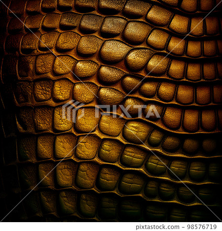 closeup of photo, crocodile skin 98576719