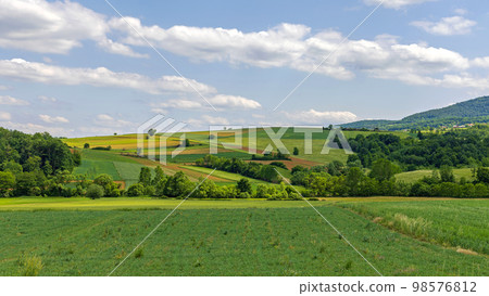 Green Fields Hills Spring 98576812