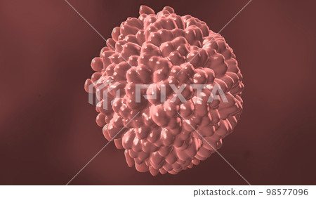 Egg in female reproductive organ 98577096