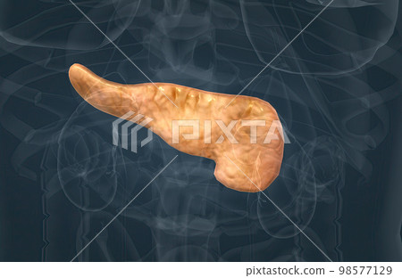 The pancreas is an organ of the digestive system and endocrine system of vertebrates. The pancreas is an organ of the digestive system and endocrine system of vertebrates. 98577129
