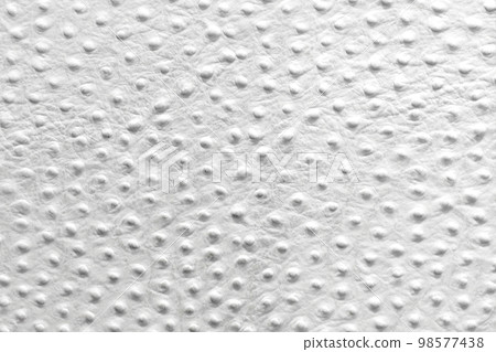 Ostrich pattern Ostrich pattern 98577438