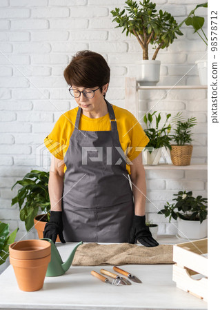 Spring houseplant care, repotting houseplants. Waking up indoor plants for spring. Middle aged woman is transplanting plant into new pot at home. Gardener transplant plant Spathiphyllum Spring houseplant care, repotting houseplants. Waking up indoor plants for spring. Middle aged woman is transplanting plant into new pot at home. Gardener transplant plant Spathiphyllum 98578712