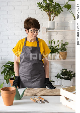 Spring houseplant care, repotting houseplants. Waking up indoor plants for spring. Middle aged woman is transplanting plant into new pot at home. Gardener transplant plant Spathiphyllum Spring houseplant care, repotting houseplants. Waking up indoor plants for spring. Middle aged woman is transplanting plant into new pot at home. Gardener transplant plant Spathiphyllum 98578713