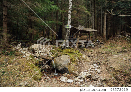 Source of pure mineral water in the mountains. Mountain spring in Ukraine Source of pure mineral water in the mountains. Mountain spring in Ukraine 98578919