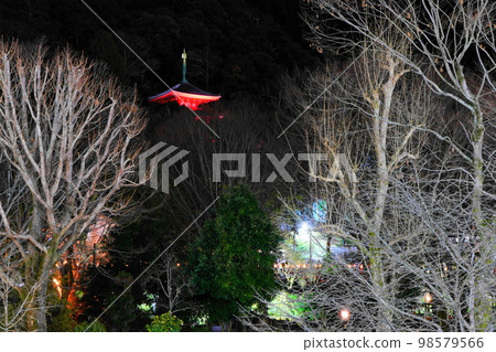 岐阜公園的三層寶塔在冬天的夜晚 98579566