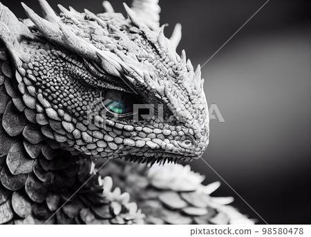 Little dragon portrait Little dragon portrait 98580478