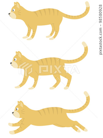 Set of brown cat illustrations _ 1 _ brown tiger Set of brown cat illustrations _ 1 _ brown tiger 98580928
