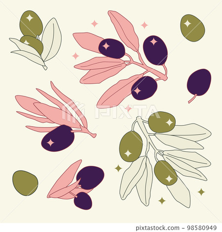Dark olives and green olives. Cartoon line art flat illustration. Charm olive Dark olives and green olives. Cartoon line art flat illustration. Charm olive 98580949