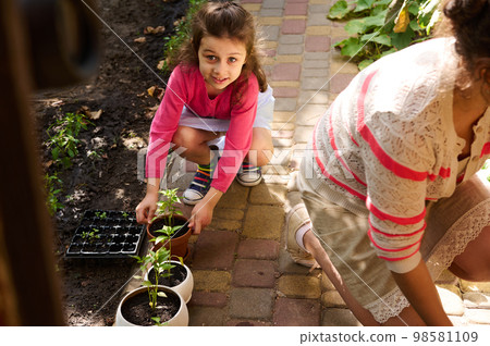Little girl holds a clay pot with growing seedlings, smiles cutely looking at camera while helps her mom on gardening Little girl holds a clay pot with growing seedlings, smiles cutely looking at camera while helps her mom on gardening 98581109