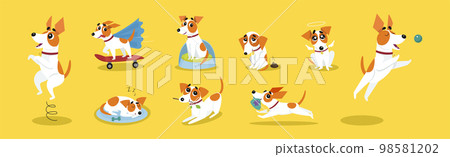 Funny Jack Russell Terrier Doing Different Activity Vector Set Funny Jack Russell Terrier Doing Different Activity Vector Set 98581202