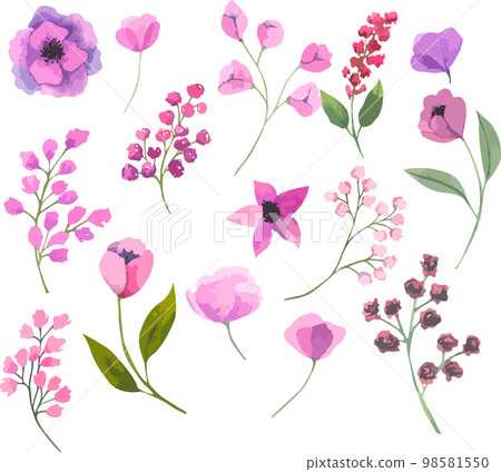 Set of vector watercolor flowers, botanical illustration of flowers and leaves in magenta color. 98581550