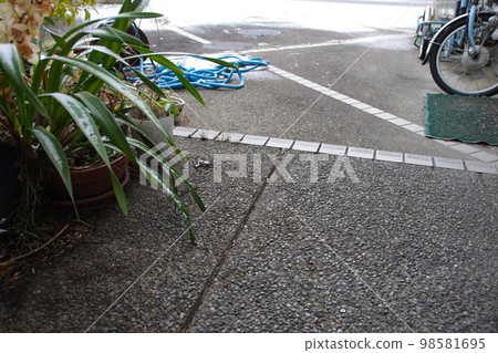 香川縣高松市難得下雪的早晨 我們的花園 98581695