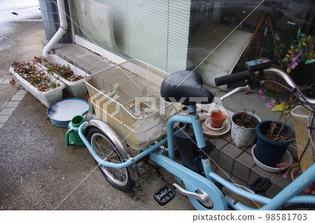 香川縣高松市難得下雪的早晨 我們的花園 98581703