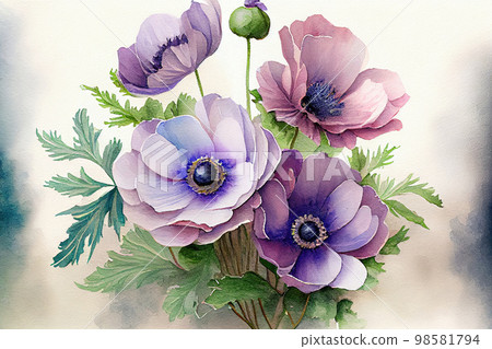 beautiful painted bouquet of purple anemones 98581794