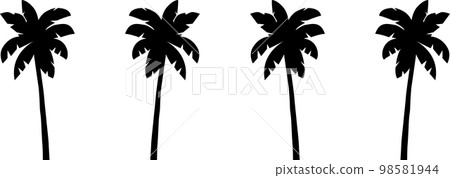 palm tree shadow 1 palm tree shadow 1 98581944