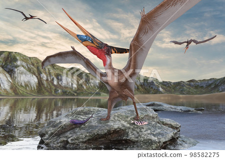 Pteranodon eating caught fish 98582275