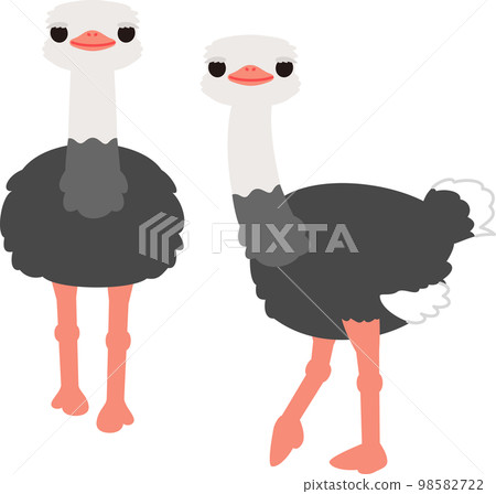 鴕鳥性格 98582722