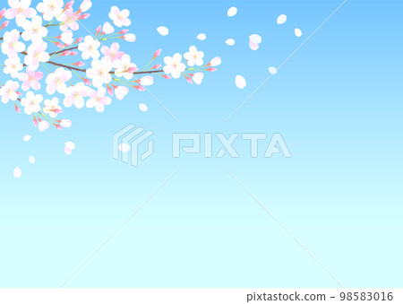 Vector illustration background with blue sky and cherry blossoms watercolor touch Vector illustration background with blue sky and cherry blossoms watercolor touch 98583016