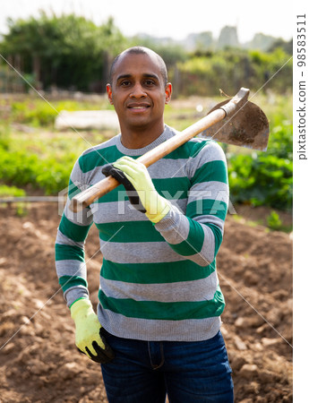 Worker cultivates garden beds with hoe Worker cultivates garden beds with hoe 98583511