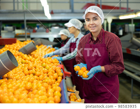 Glad woman in uniform sorts fresh ripe tangerines on the conveyor belt of a fruit processing plant. Glad woman in uniform sorts fresh ripe tangerines on the conveyor belt of a fruit processing plant. 98583935