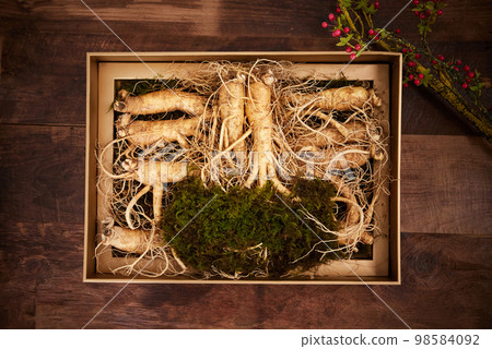 人參新鮮人參 人參新鮮人參 98584092