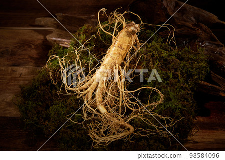 Ginseng Ginseng 98584096