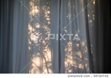 Plant shadows background on the curtains in the window Plant shadows background on the curtains in the window 98584548