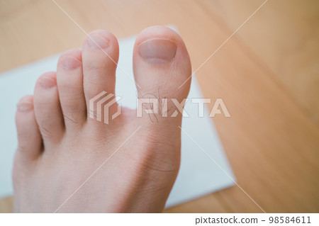 nail clippers, feet, paw 98584611