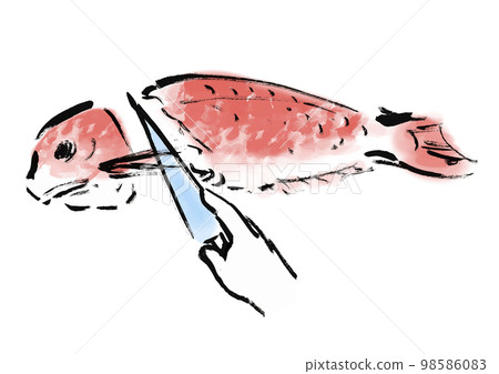 海鯛的手繪日式插圖 海鯛的手繪日式插圖 98586083