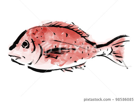 海鯛的手繪日式插圖 海鯛的手繪日式插圖 98586085
