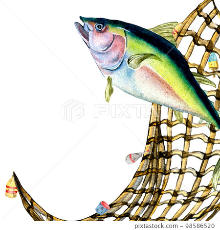 Composition of tuna and fishnet watercolor illustration isolated on white. Composition of tuna and fishnet watercolor illustration isolated on white. 98586520