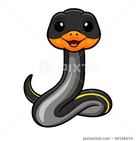 Cute black copper rat snake cartoon 98586654