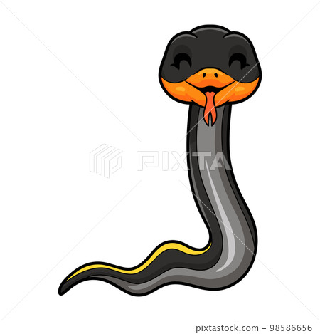 Cute black copper rat snake cartoon Cute black copper rat snake cartoon 98586656