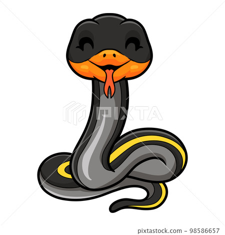 Cute black copper rat snake cartoon Cute black copper rat snake cartoon 98586657