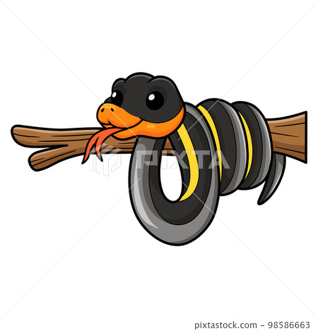 Cute black copper rat snake cartoon Cute black copper rat snake cartoon 98586663