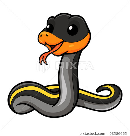 Cute black copper rat snake cartoon Cute black copper rat snake cartoon 98586665