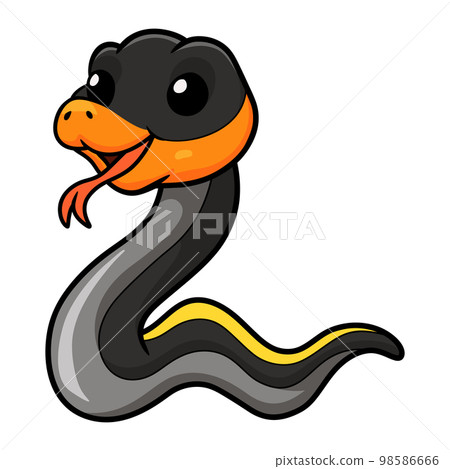 Cute black copper rat snake cartoon Cute black copper rat snake cartoon 98586666