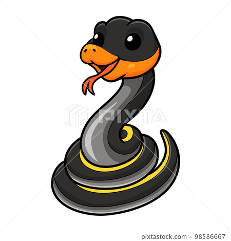 Cute black copper rat snake cartoon Cute black copper rat snake cartoon 98586667