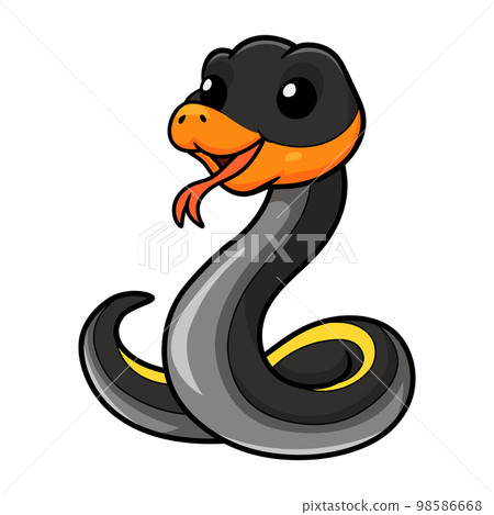Cute black copper rat snake cartoon Cute black copper rat snake cartoon 98586668