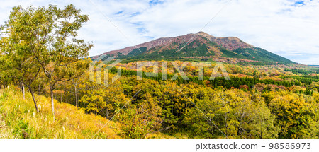Panorama of Grass and Autumn Leaves on Hiranodai Plateau [Minamioguni-machi, Aso-gun, Kumamoto Prefecture] 98586973