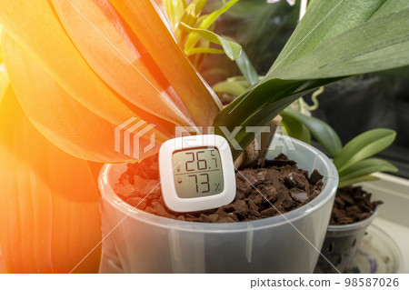 maintaining the temperature and humidity of the air necessary for indoor plants maintaining the temperature and humidity of the air necessary for indoor plants 98587026