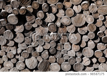 Stacked firewood 98587175
