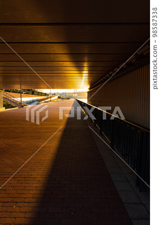 Tokyo cityscape Toyosu Gururi Park at dusk 98587338