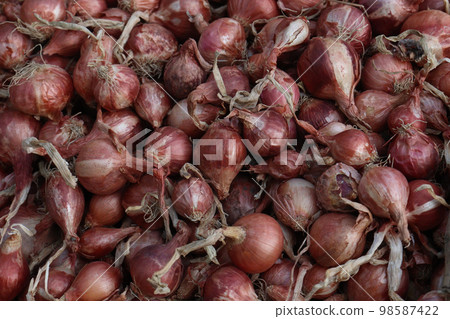 healthy and spicy onion stock on shop for sell healthy and spicy onion stock on shop for sell 98587422
